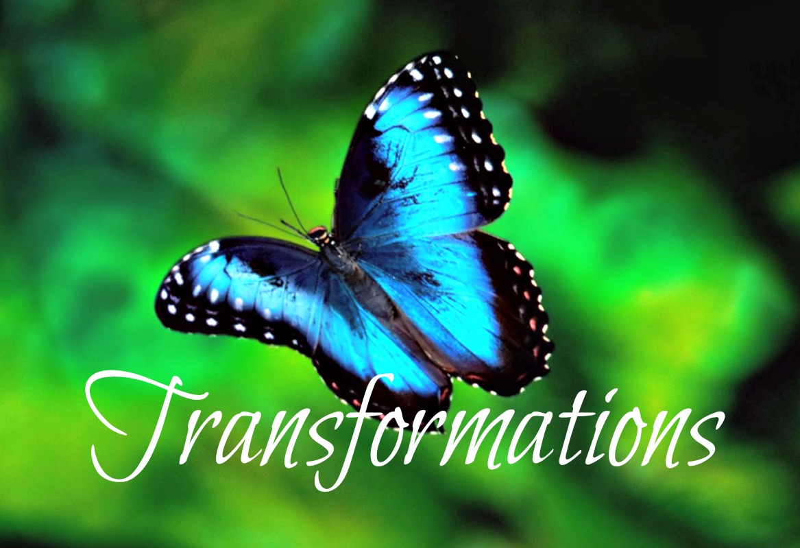 Karner_Blue_Butterfly_transformations