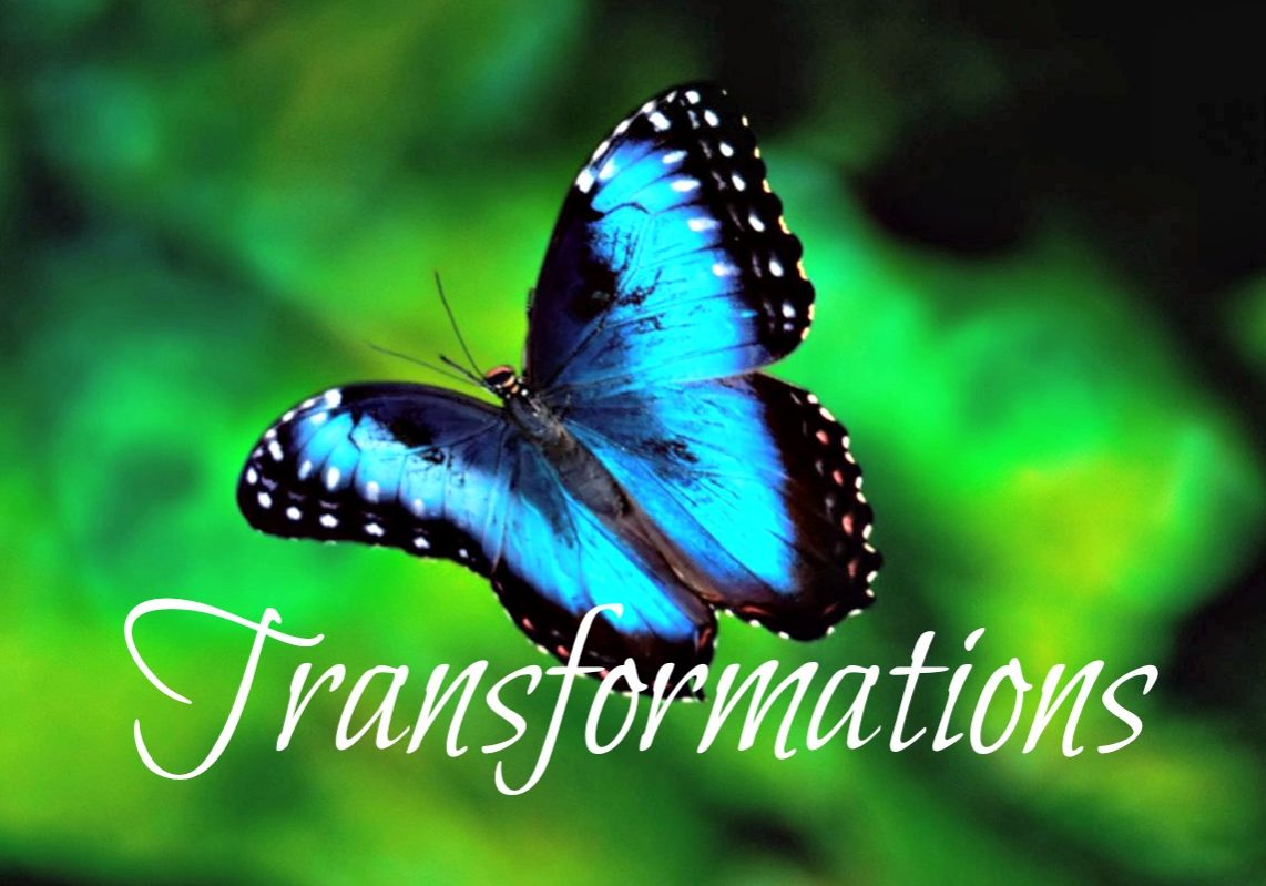 Karner_Blue_Butterfly_transformations